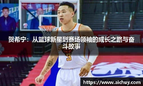 贺希宁：从篮球新星到赛场领袖的成长之路与奋斗故事