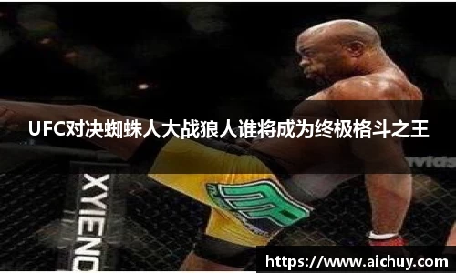 UFC对决蜘蛛人大战狼人谁将成为终极格斗之王