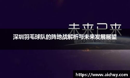 深圳羽毛球队的阵地战解析与未来发展展望