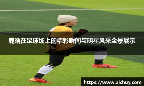鹿晗在足球场上的精彩瞬间与明星风采全景展示